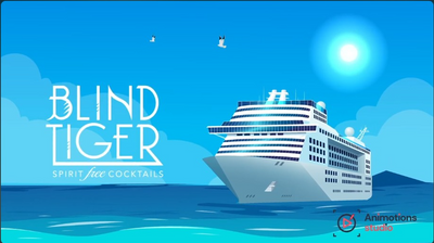 2D Promotional Animation | Yard Adventure Story